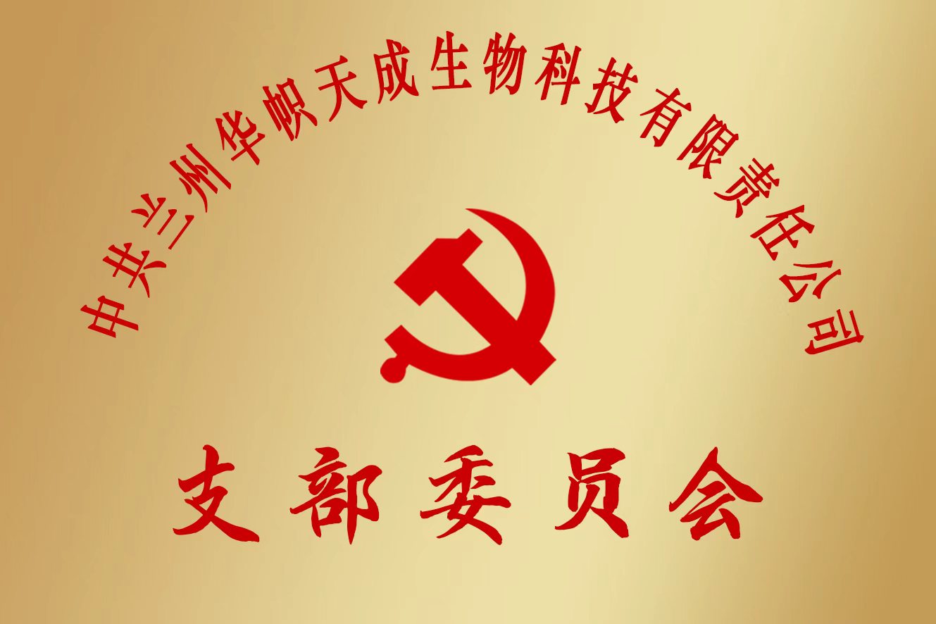 华帜天成荣誉奖牌