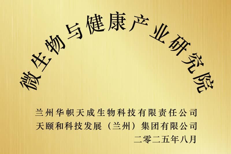 华帜天成荣誉奖牌