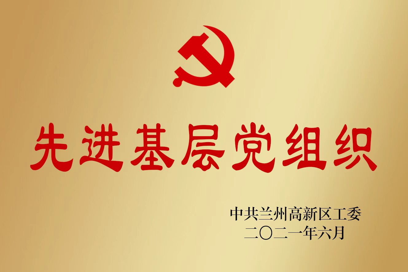 华帜天成荣誉奖牌
