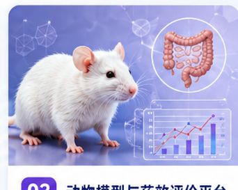 动物模型与药效评价平台